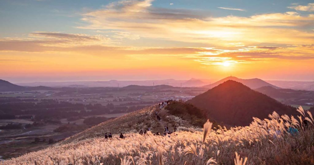 “9월부터 억새 준비 시작해요”… 제주 서부 대표 오름 30분 완주 코스
