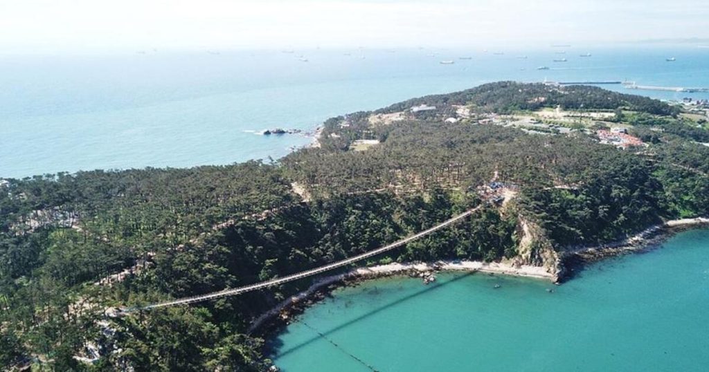 푸른 바다와 녹음 우거진 반도 전체가 보이는 항공뷰