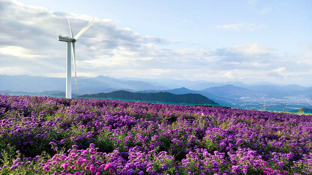 감악산 언덕에서 바라본 풍력발전기와 보랏빛