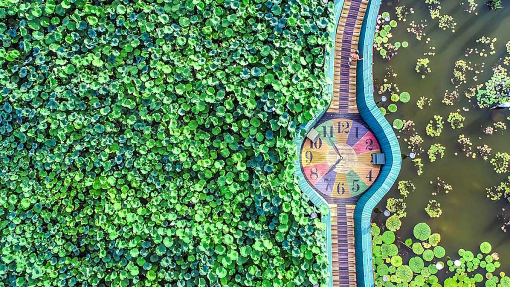 회산백련지 드론 사진