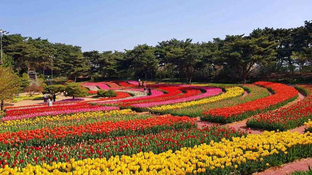 사람들이 꽃 정원 사이를 거닐고 있다