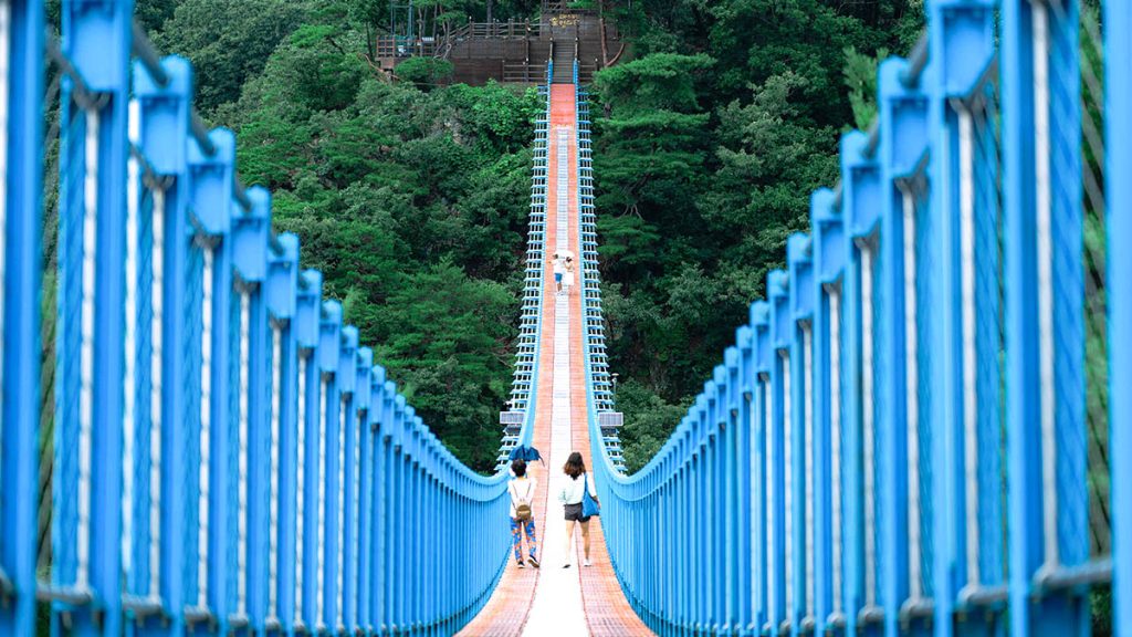 출렁다리에서 사람들이 산책을 하고 있다.